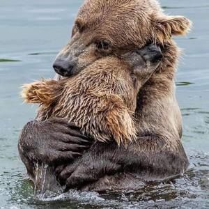 Meet your Posher, Darlene